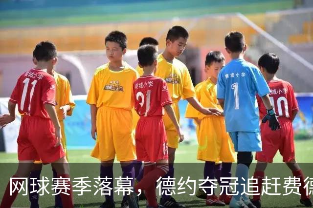 网球赛季落幕，德约夺冠追赶费德勒奖金悬殊引热议